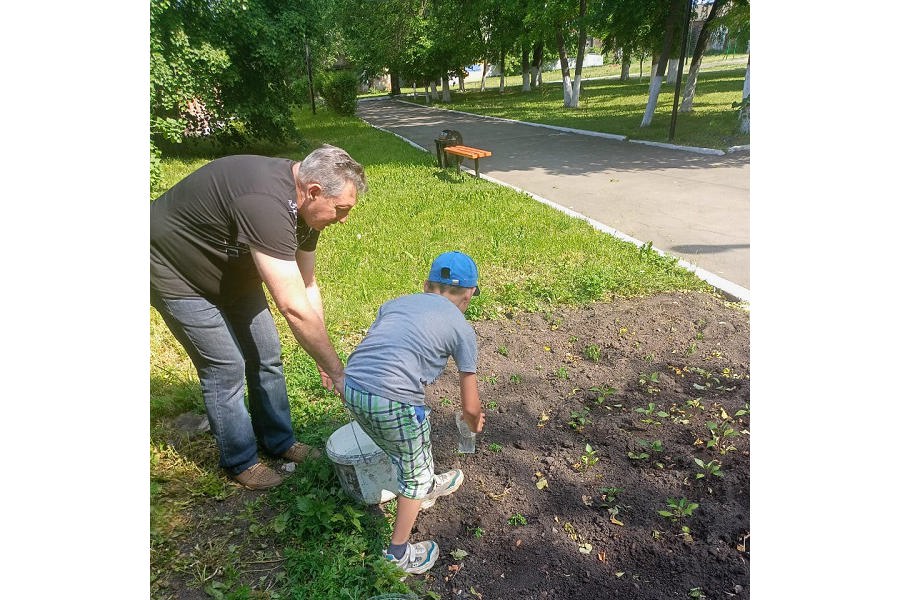 Создаем красоту сами