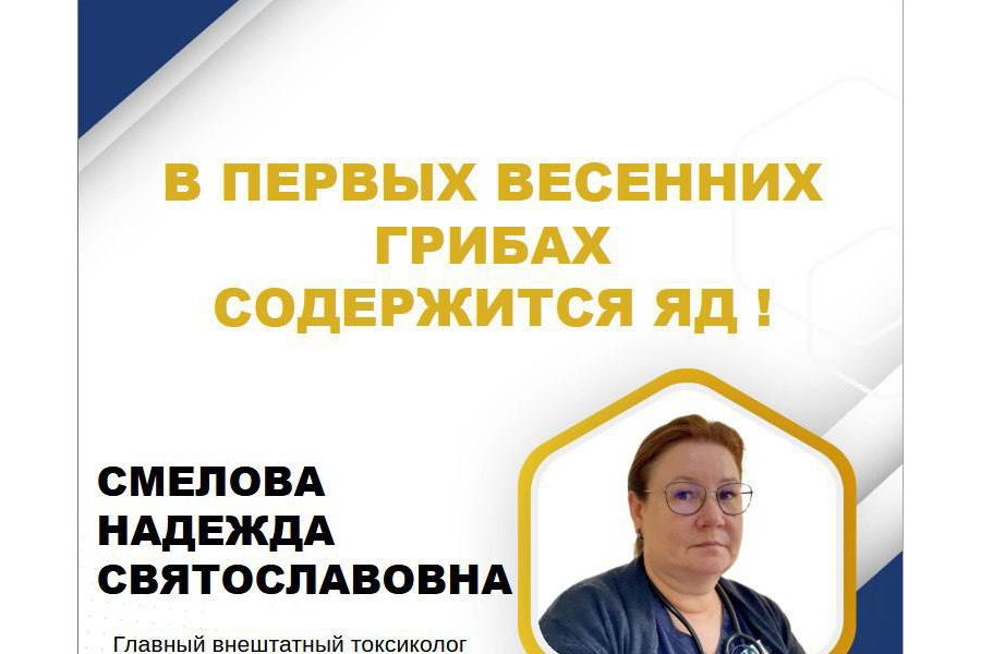 Главный внештатный токсиколог Минздрава Чувашии Надежда Смелова: «В первых весенних грибах содержится сильный яд»