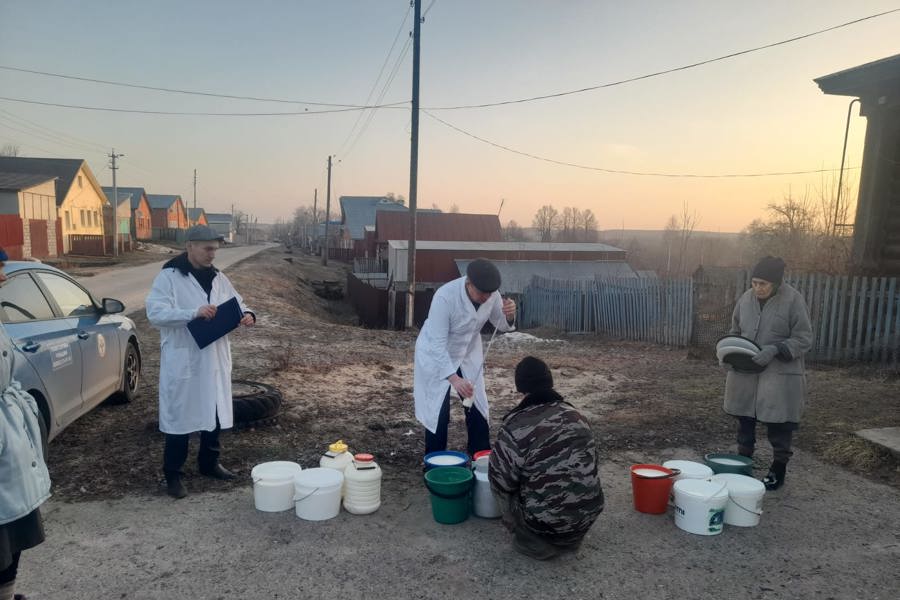 В Чебоксарском округе проверили качество молока