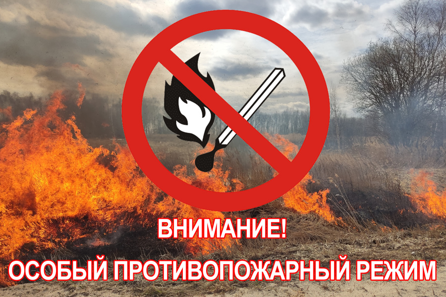 С 10 апреля на территории города Алатыря вводится особый противопожарный режим