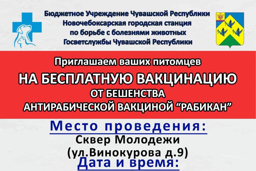 В Новочебоксарске 19 сентября бесплатно привьют животных от бешенства