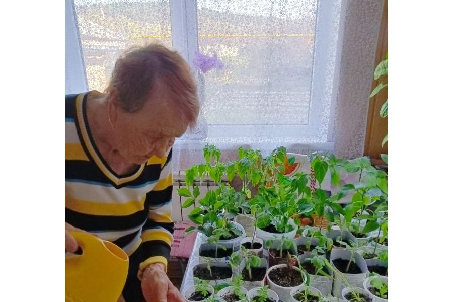Положительное влияние растений на жизнь пожилых людей