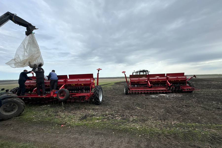 Сроки весеннего сева зерновых культур у аграриев Чувашии удлиняются из-за погоды