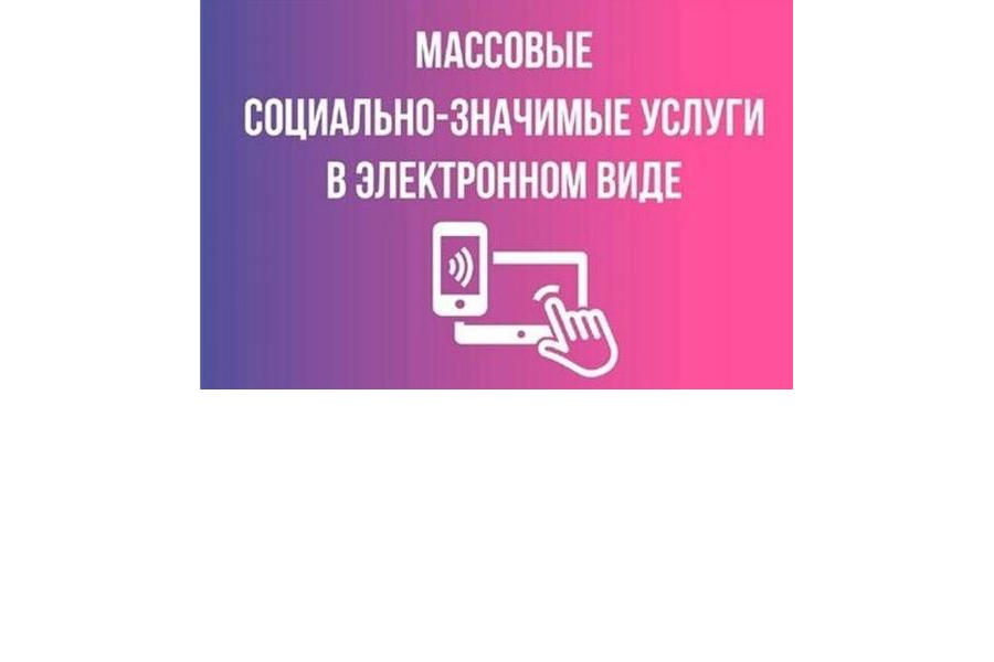 Получение массовых социально значимых услуг в электронном виде на портале Госуслуги