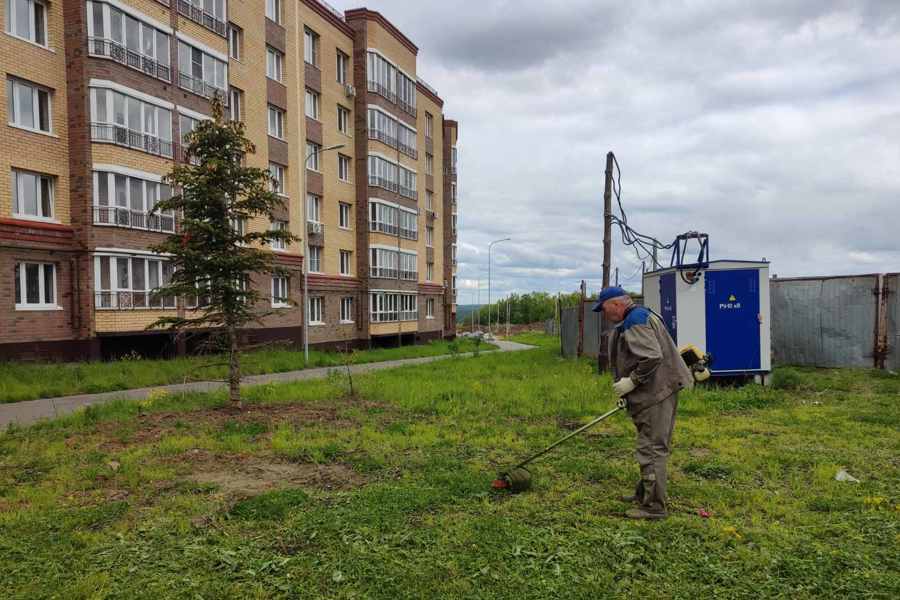 В Калининском районе г. Чебоксары проходит первый этап покоса травы