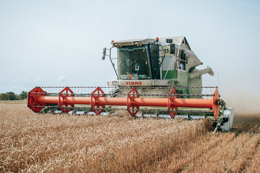 Правительство РФ предоставило 57 млн рублей Чувашии на поддержку производителей  зерновых
