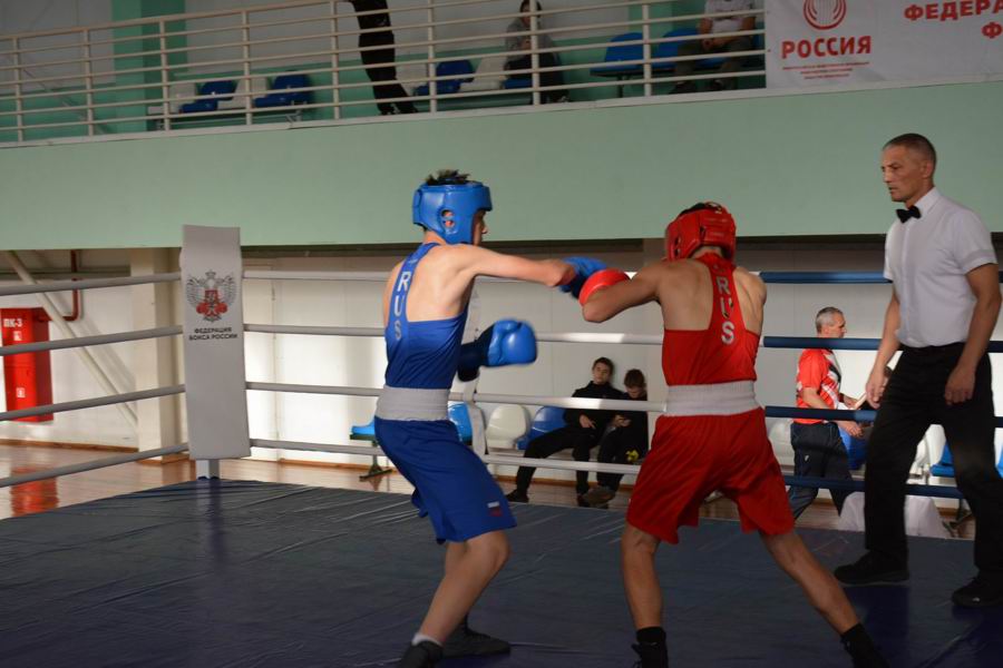 В Вурнарах прошли финальные соревнования открытого первенства по боксу на призы главы Вурнарского муниципального округа Андрея Тихонова