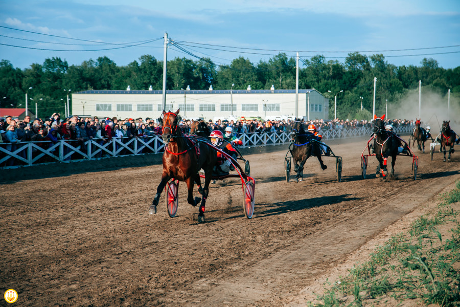 Призовой фонд второго Кубка главы Чувашии по конным бегам разделят на пять номинаций