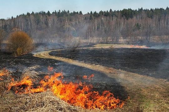 В Чувашской Республике зарегистрированы 5 случаев возгорания сухой травы