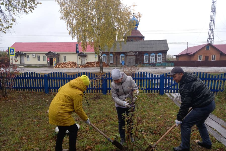 Алатырский муниципальный округ принимает активное участие во Всероссийской акции» Сохраним лес»