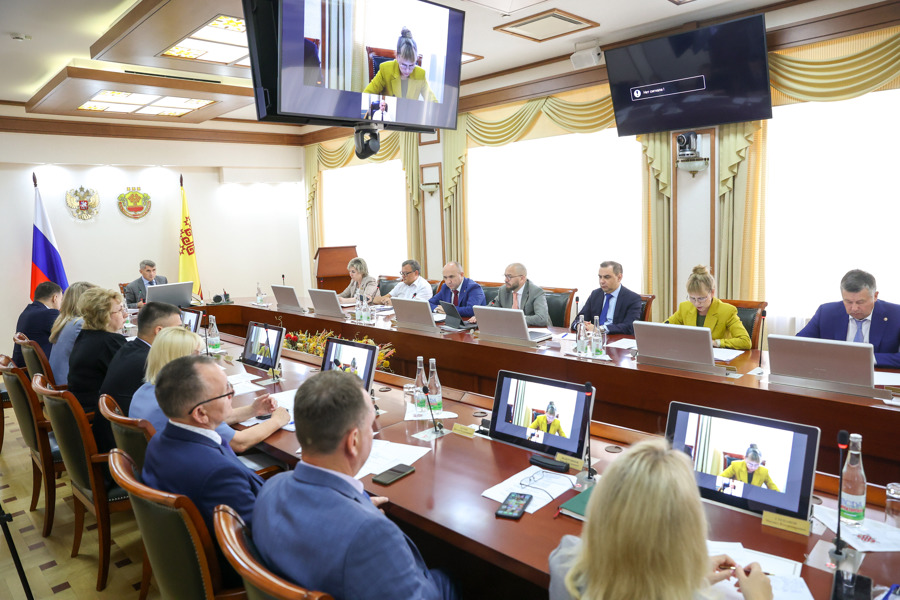Руководитель Инспекции Виктор Кочетков выступил на заседании Кабинета министров