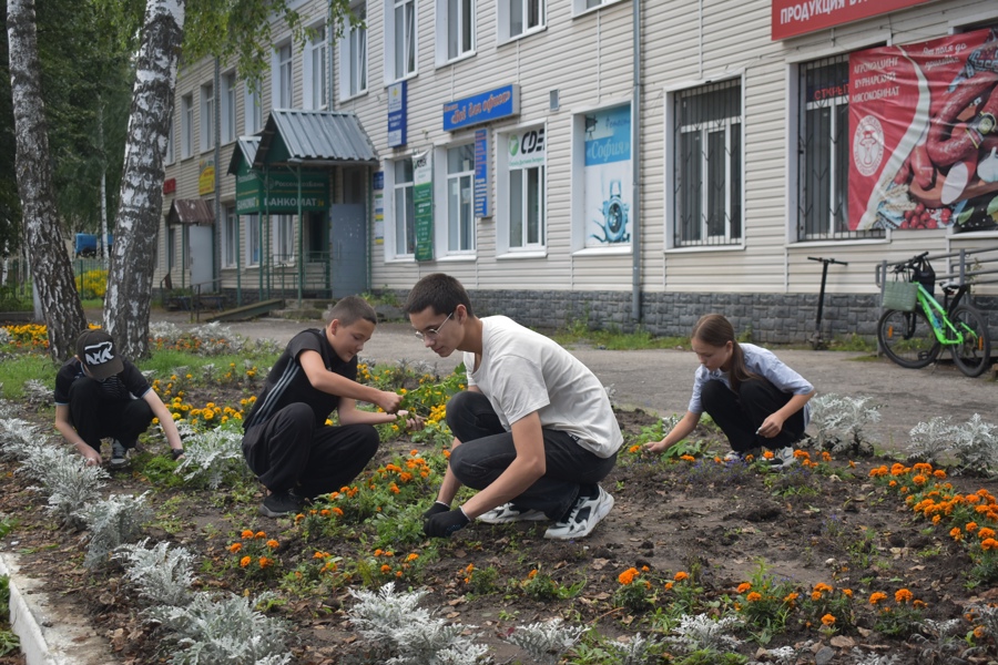 13 августа в городе Ядрин прошел очередной экологический субботник, собравший сотрудников администрации, школ, детсадов и активисты движения Первых