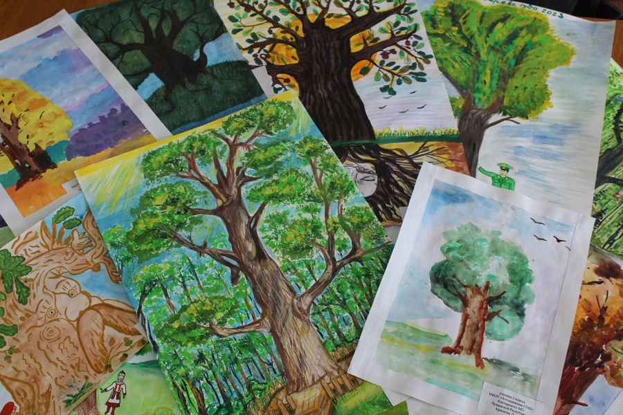 Подведены итоги регионального этапа конкурса рисунков «Старейшина чувашских дубрав» - Российское дерево года 2023»