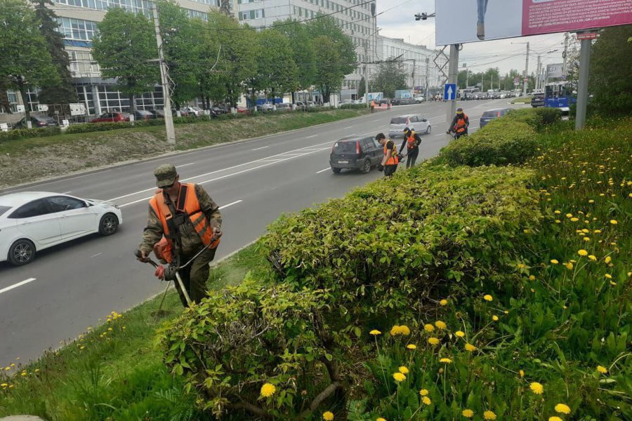 В Чебоксарах продолжается покос территорий