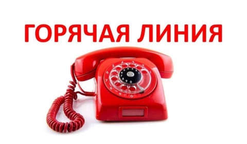 Телефон «горячей линии»