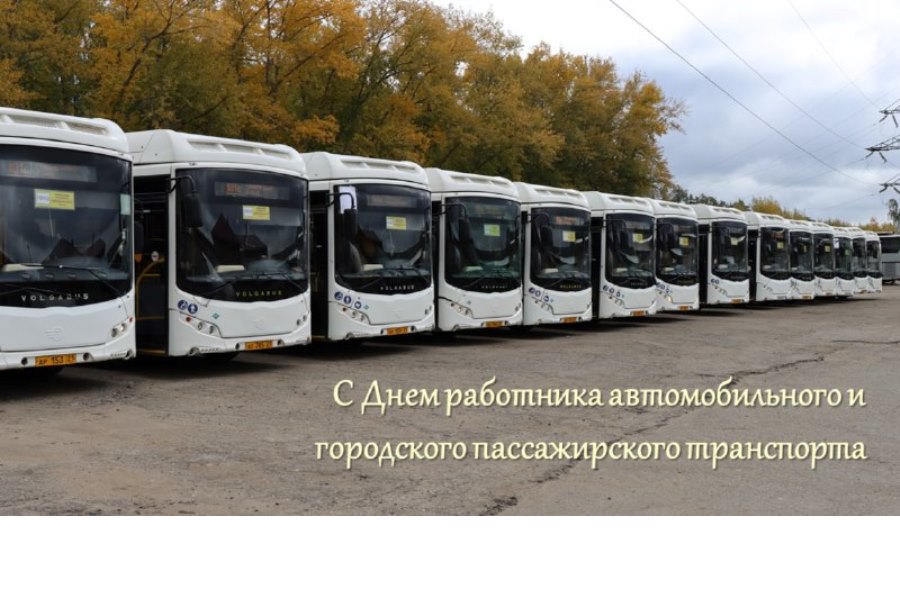 Поздравление врио министра Максима Петрова с Днем работника автомобильного и городского пассажирского транспорта