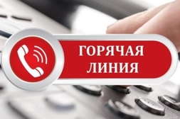 Горячая линия по вопросам реализации государственной политики по сохранению и укреплению традиционных российских духовно-нравственных ценностей