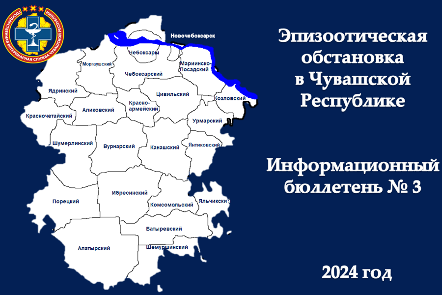 Информационный бюллетень № 3