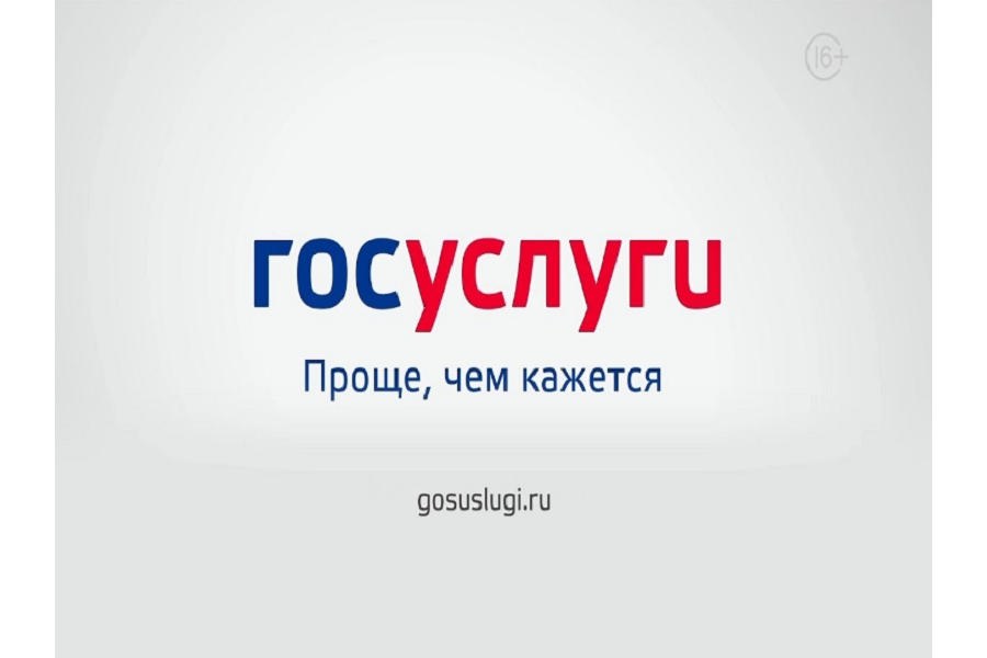 Полезные возможности госуслуг