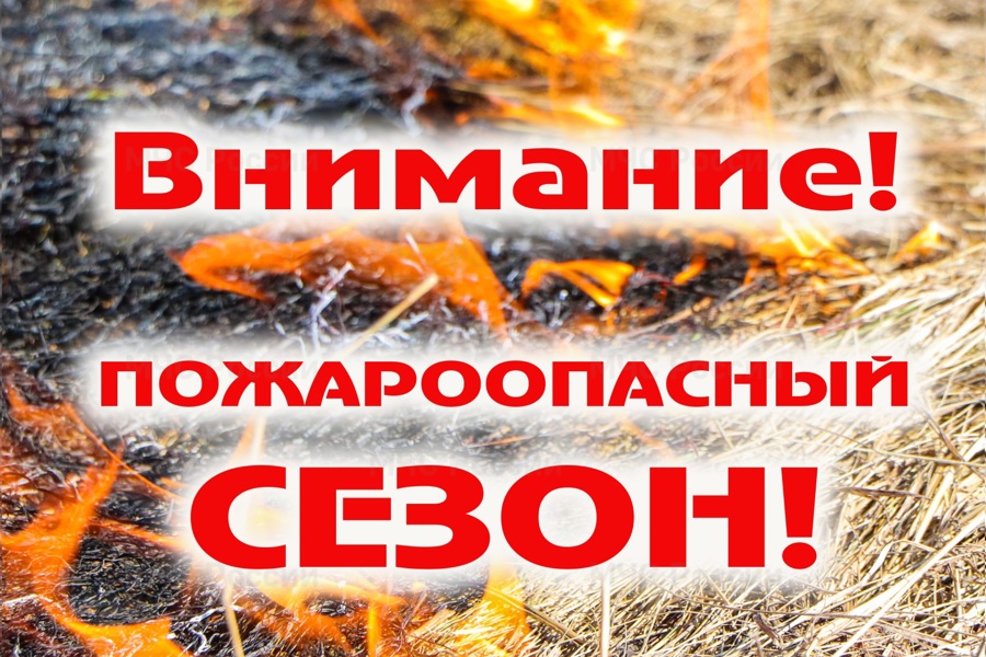 С 1 апреля 2024 г. в Чувашии устанавливается пожароопасный сезон