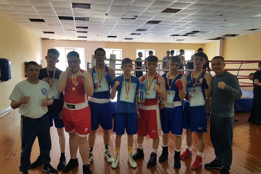 Семь золотых медалей на Первенстве Мариинско-Посадского муниципального округа по боксу!