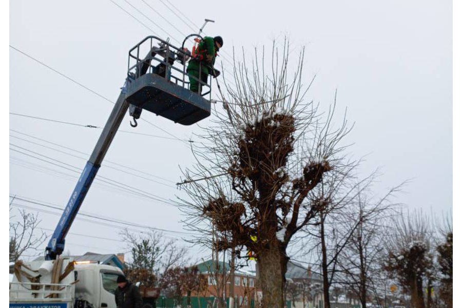 В Чебоксарах продолжились работы по формовке деревьев