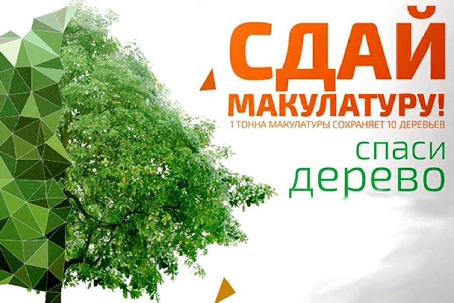 «Сдай макулатуру – спаси дерево»