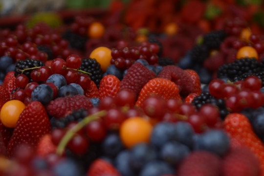 Ягодный союз, объединяющий хозяйства России, готов присоединиться к Фестивалю ягоды в Чувашии