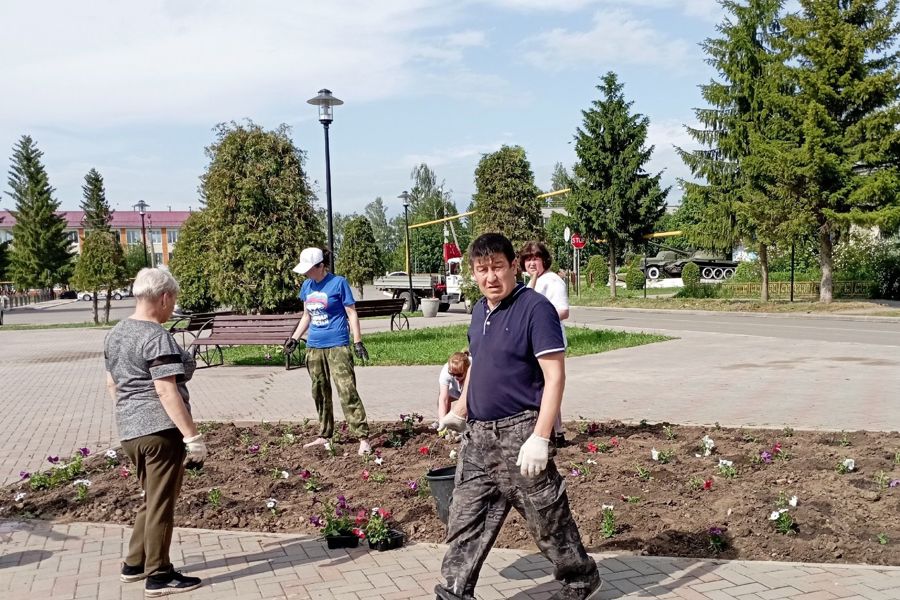 В муниципальном округе продолжаются работы по озеленению территорий