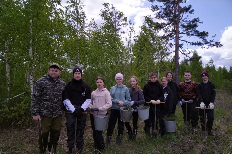 Мероприятия Международной акции «Сад памяти» в муниципальных округах Чувашии (08.05.2024)