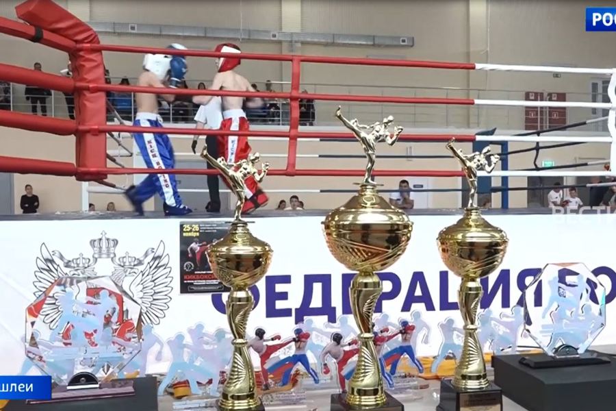 В Чувашии прошел турнир по кикбоксингу на призы ветеранов спецподразделений республики