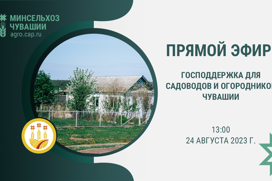 Господдержку садоводов и огородников Чувашии обсудят в прямом эфире