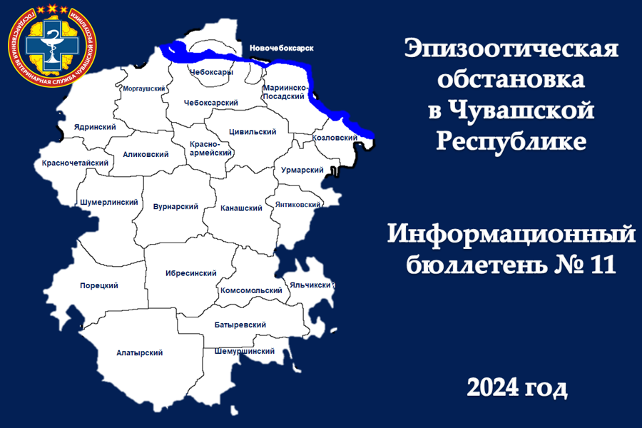 Информационный бюллетень № 11