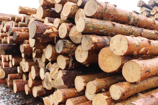 Предприниматель из Чувашии предоставил лесоматериалы для отправки в зону СВО