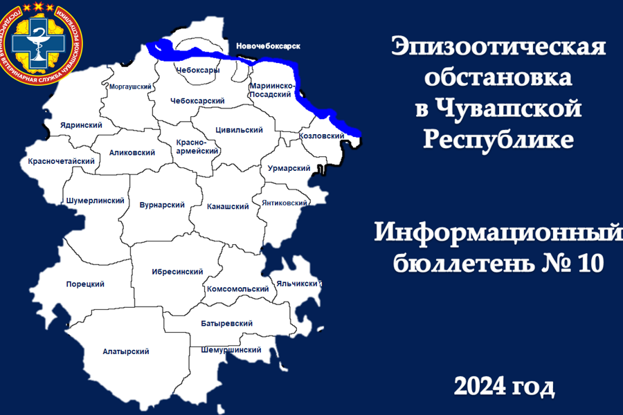 Информационный бюллетень № 10