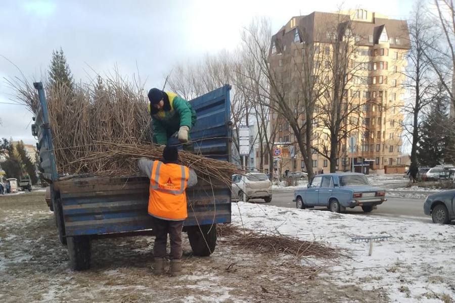 В Чебоксарах проведена формовочная обрезка 490 деревьев