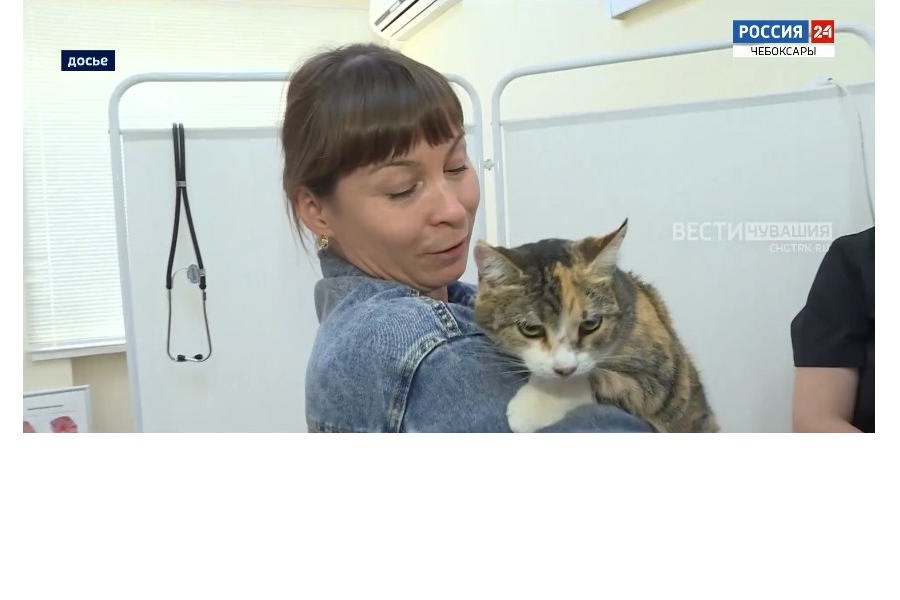 В Чувашии от бешенства привито более 320 тысяч животных