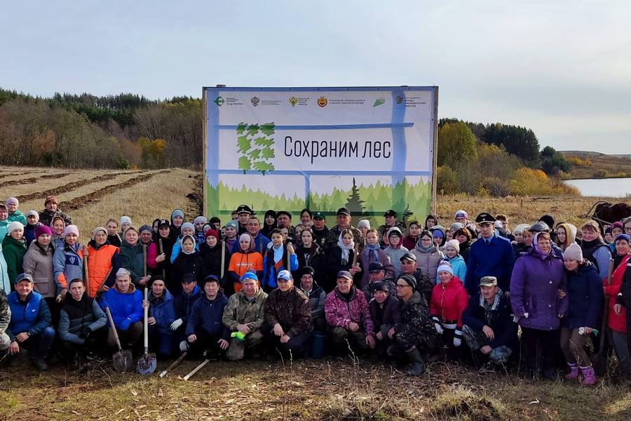 В Чувашии в самом разгаре осенняя посадка деревьев Всероссийской акции «Сохраним лес»