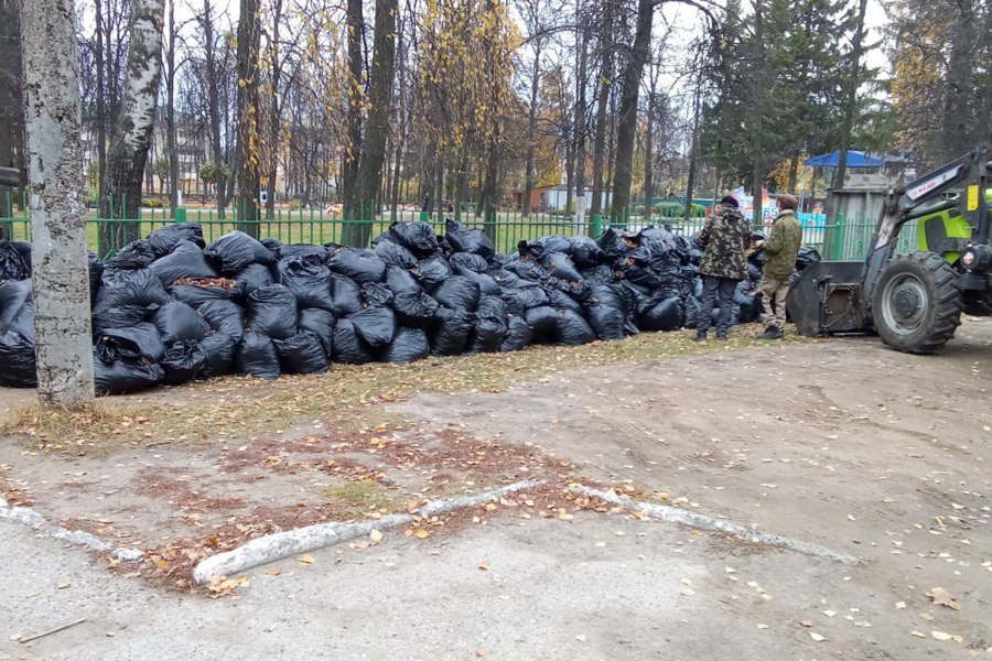 Осенние экологические мероприятия: в Чебоксарах продолжается вывоз мешков с листвой