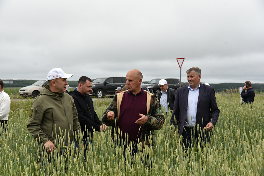 Ибресинский округ с рабочим визитом посетил министр сельского хозяйства Чувашской Республики Сергей Артамонов
