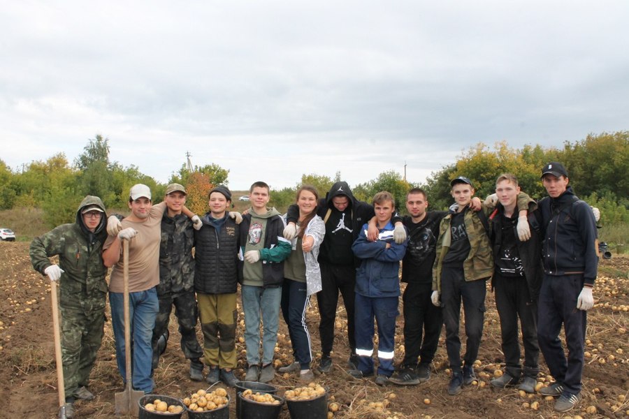 Вместе трудиться и вместе веселиться - на полях Цивильского аграрно-технологического техникума началась уборка картофеля