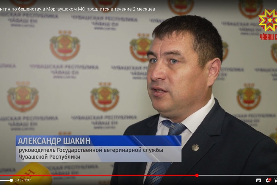 Карантин по бешенству в Моргаушском МО продлится в течение 2 месяцев
