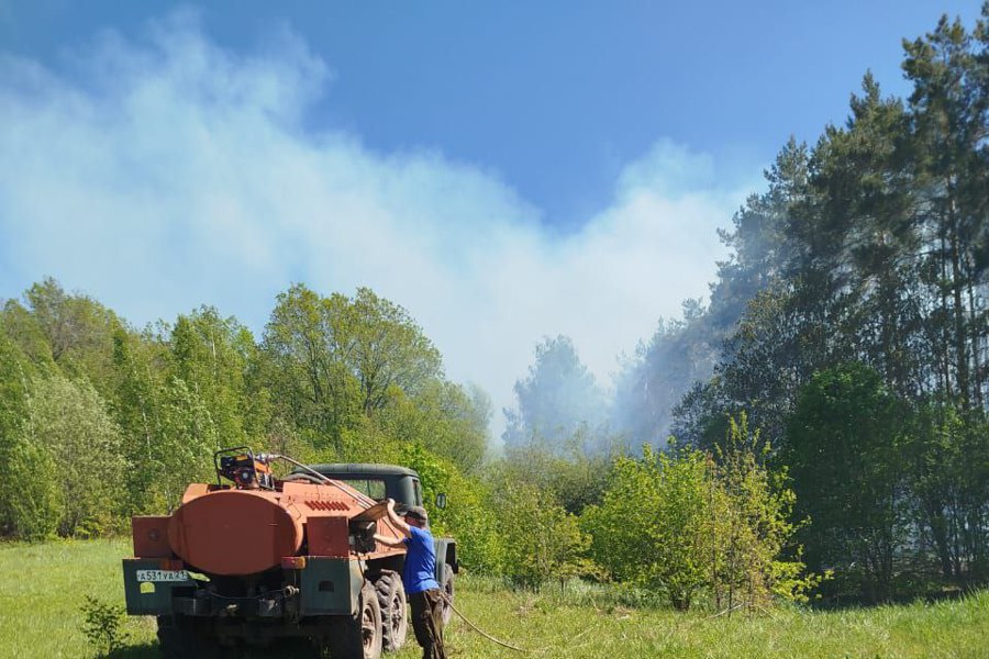 В Шумерлинском округе ликвидирован лесной пожар