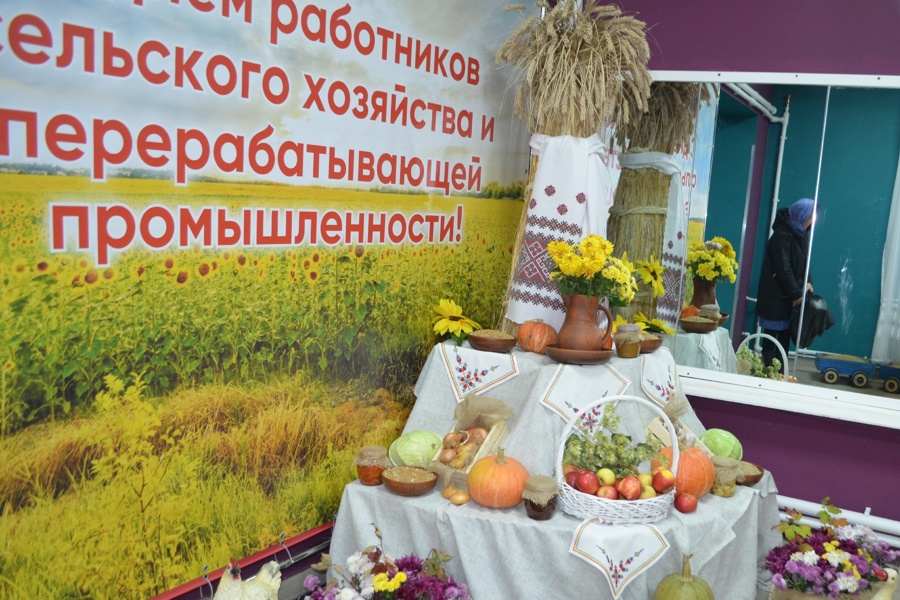 В Мариинско-Посадском муниципальном округе отпраздновали День работников сельского хозяйства и перерабатывающей промышленности