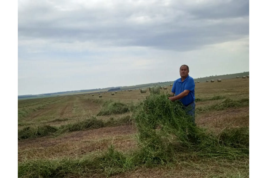 В хозяйствах округа продолжается заготовка кормов