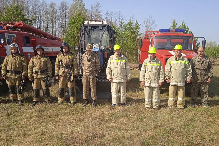 В Алатырском лесничестве ликвидирован лесной пожар