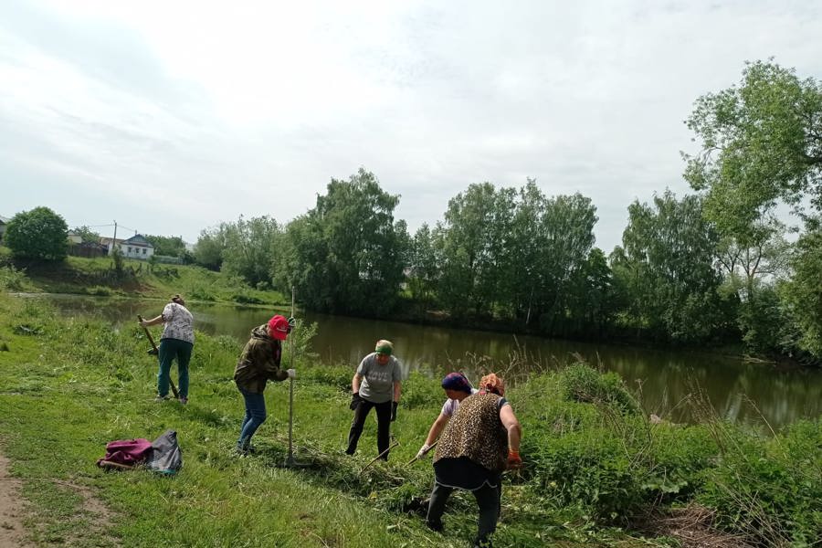 Экологическую акцию «Вода России» провели в Шибылгинском  территориальном отделе