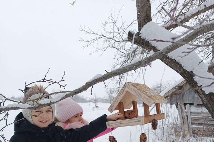 Экологический праздник - День зимующих птиц