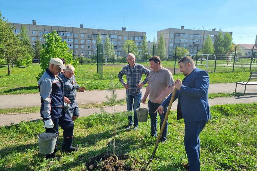 Международная акция «Сад Памяти» прошла в Алатыре