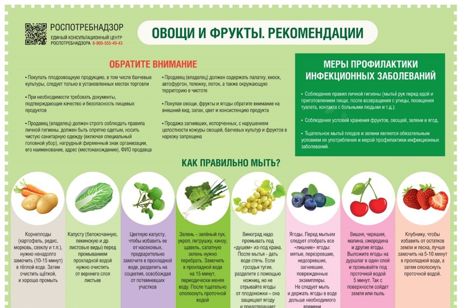 Рекомендации, как правильно выбирать и мыть овощи и фрукты
